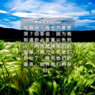 Picture 04 - 列 王 记 下 8:12 CUVS - 哈 薛 说 ： 我 主 为 甚 麽 哭 ？ 回 - Bible Verse Picture