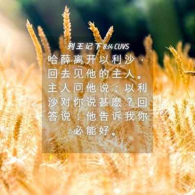 Picture 04 - 列 王 记 下 8:14 CUVS - 哈 薛 离 开 以 利 沙 ， 回 去 见 他 - Bible Verse Picture