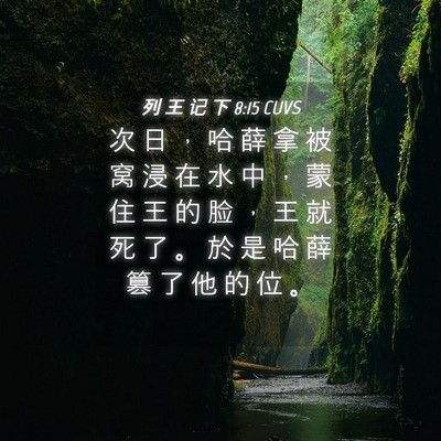 Picture 04 - 列 王 记 下 8:15 CUVS - 次 日 ， 哈 薛 拿 被 窝 浸 在 水 中 - Bible Verse Picture