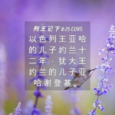 Picture 04 - 列 王 记 下 8:25 CUVS - 以 色 列 王 亚 哈 的 儿 子 约 兰 十 - Bible Verse Picture