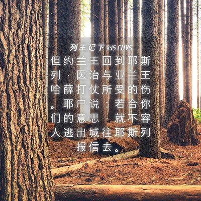 Picture 04 - 列 王 记 下 9:15 CUVS - 但 约 兰 王 回 到 耶 斯 列 ， 医 治 - Bible Verse Picture