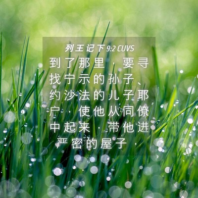 Picture 04 - 列 王 记 下 9:2 CUVS - 到 了 那 里 ， 要 寻 找 宁 示 的 孙 - Bible Verse Picture