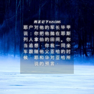 Picture 04 - 列 王 记 下 9:25 CUVS - 耶 户 对 他 的 军 长 毕 甲 说 ： 你 - Bible Verse Picture
