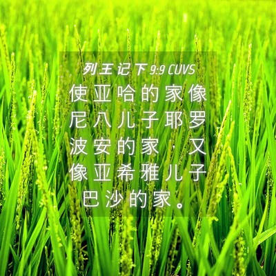 Picture 04 - 列 王 记 下 9:9 CUVS - 使 亚 哈 的 家 像 尼 八 儿 子 耶 罗 - Bible Verse Picture