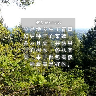 Picture 04 - 创 世 纪 1:12 CUVS - 於 是 地 发 生 了 青 草 和 结 种 子 - Bible Verse Picture
