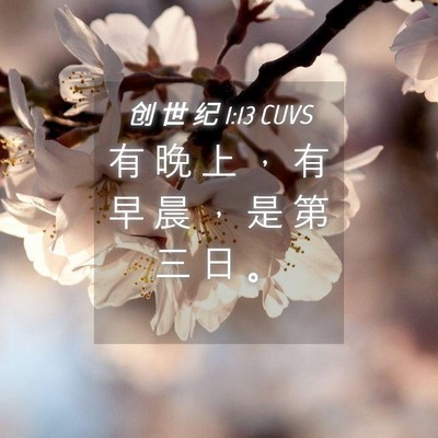 Picture 04 - 创 世 纪 1:13 CUVS - 有 晚 上 ， 有 早 晨 ， 是 第 三 日 - Bible Verse Picture