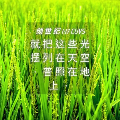Picture 04 - 创 世 纪 1:17 CUVS - 就 把 这 些 光 摆 列 在 天 空 ， 普 - Bible Verse Picture