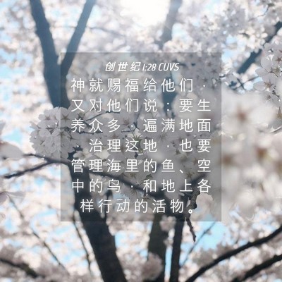 Picture 04 - 创 世 纪 1:28 CUVS - 神 就 赐 福 给 他 们 ， 又 对 他 们 - Bible Verse Picture