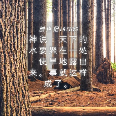 Picture 04 - 创 世 纪 1:9 CUVS - 神 说 ： 天 下 的 水 要 聚 在 一 处 - Bible Verse Picture