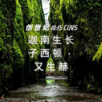 Picture 04 - 创 世 纪 10:15 CUVS - 迦 南 生 长 子 西 顿 ， 又 生 - Bible Verse Picture