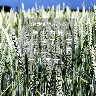 Picture 04 - 创 世 纪 11:21 CUVS - 拉 吴 生 西 鹿 之 後 又 活 了 二 百 - Bible Verse Picture