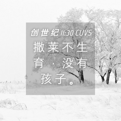 Picture 04 - 创 世 纪 11:30 CUVS - 撒 莱 不 生 育 ， 没 有 孩 子 - Bible Verse Picture