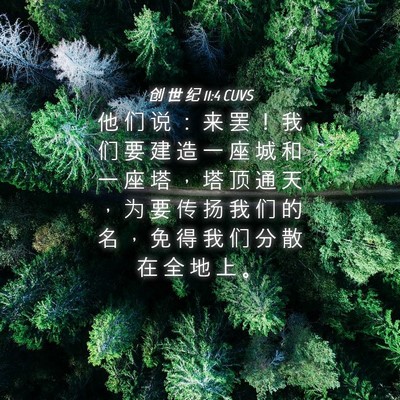 Picture 04 - 创 世 纪 11:4 CUVS - 他 们 说 ： 来 罢 ！ 我 们 要 建 造 - Bible Verse Picture
