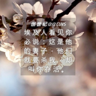 Picture 04 - 创 世 纪 12:12 CUVS - 埃 及 人 看 见 你 必 说 ： 这 是 他 - Bible Verse Picture