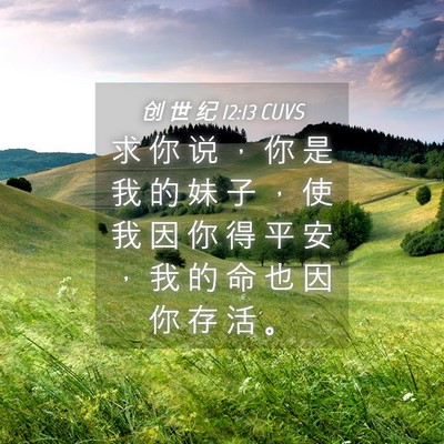 Picture 04 - 创 世 纪 12:13 CUVS - 求 你 说 ， 你 是 我 的 妹 子 ， 使 - Bible Verse Picture