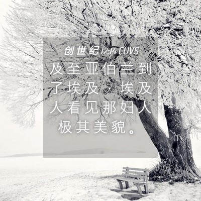 Picture 04 - 创 世 纪 12:14 CUVS - 及 至 亚 伯 兰 到 了 埃 及 ， 埃 及 - Bible Verse Picture