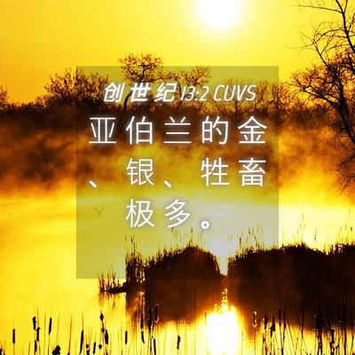 Picture 04 - 创 世 纪 13:2 CUVS - 亚 伯 兰 的 金 、 银 、 牲 畜 极 多 - Bible Verse Picture