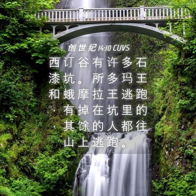 Picture 04 - 创 世 纪 14:10 CUVS - 西 订 谷 有 许 多 石 漆 坑 。 所 多 - Bible Verse Picture