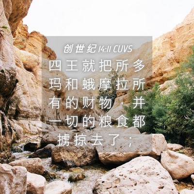 Picture 04 - 创 世 纪 14:11 CUVS - 四 王 就 把 所 多 玛 和 蛾 摩 拉 所 - Bible Verse Picture