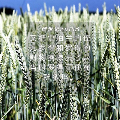 Picture 04 - 创 世 纪 14:12 CUVS - 又 把 亚 伯 兰 的 侄 儿 罗 得 和 罗 - Bible Verse Picture