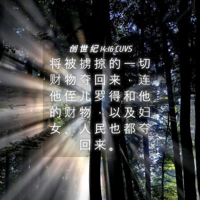 Picture 04 - 创 世 纪 14:16 CUVS - 将 被 掳 掠 的 一 切 财 物 夺 回 来 - Bible Verse Picture
