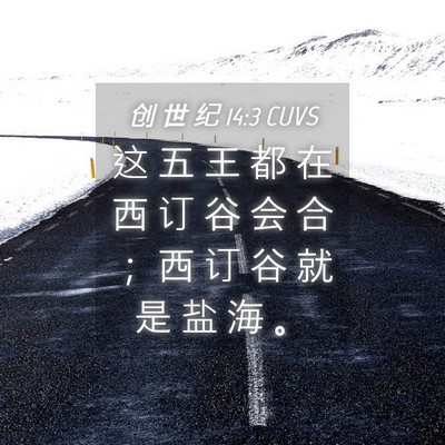 Picture 04 - 创 世 纪 14:3 CUVS - 这 五 王 都 在 西 订 谷 会 合 ； 西 - Bible Verse Picture