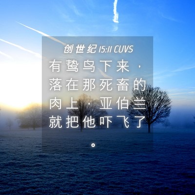 Picture 04 - 创 世 纪 15:11 CUVS - 有 鸷 鸟 下 来 ， 落 在 那 死 畜 的 - Bible Verse Picture