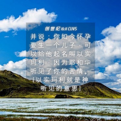 Picture 04 - 创 世 纪 16:11 CUVS - 并 说 ： 你 如 今 怀 孕 要 生 一 个 - Bible Verse Picture