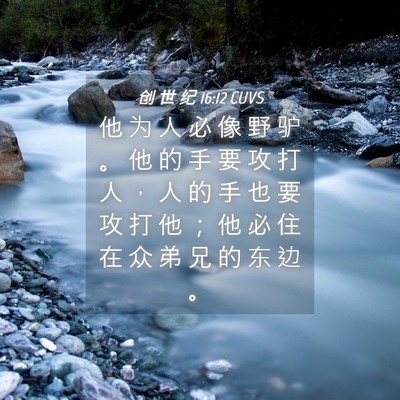 Picture 04 - 创 世 纪 16:12 CUVS - 他 为 人 必 像 野 驴 。 他 的 手 要 - Bible Verse Picture