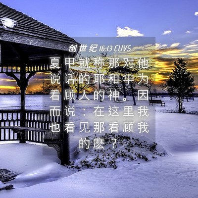 Picture 04 - 创 世 纪 16:13 CUVS - 夏 甲 就 称 那 对 他 说 话 的 耶 和 - Bible Verse Picture