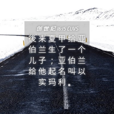 Picture 04 - 创 世 纪 16:15 CUVS - 後 来 夏 甲 给 亚 伯 兰 生 了 一 个 - Bible Verse Picture