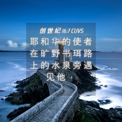 Picture 04 - 创 世 纪 16:7 CUVS - 耶 和 华 的 使 者 在 旷 野 书 珥 路 - Bible Verse Picture
