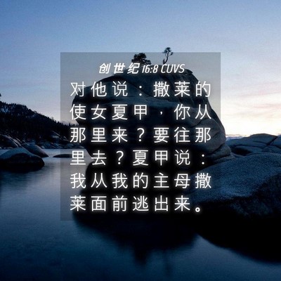 Picture 04 - 创 世 纪 16:8 CUVS - 对 他 说 ： 撒 莱 的 使 女 夏 甲 ， - Bible Verse Picture