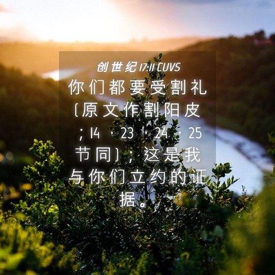 Picture 04 - 创 世 纪 17:11 CUVS - 你 们 都 要 受 割 礼 ( 原 文 作 割 阳 - Bible Verse Picture