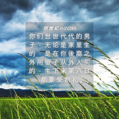 Picture 04 - 创 世 纪 17:12 CUVS - 你 们 世 世 代 代 的 男 子 ， 无 论 - Bible Verse Picture