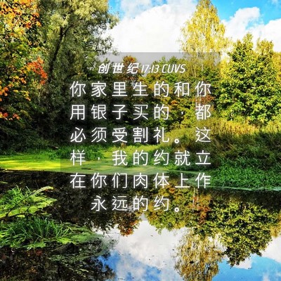 Picture 04 - 创 世 纪 17:13 CUVS - 你 家 里 生 的 和 你 用 银 子 买 的 - Bible Verse Picture