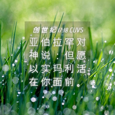 Picture 04 - 创 世 纪 17:18 CUVS - 亚 伯 拉 罕 对 神 说 ： 但 愿 以 实 - Bible Verse Picture