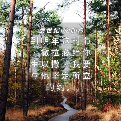 Picture 04 - 创 世 纪 17:21 CUVS - 到 明 年 这 时 节 ， 撒 拉 必 给 你 - Bible Verse Picture