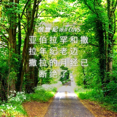Picture 04 - 创 世 纪 18:11 CUVS - 亚 伯 拉 罕 和 撒 拉 年 纪 老 迈 ， - Bible Verse Picture