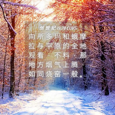 Picture 04 - 创 世 纪 19:28 CUVS - 向 所 多 玛 和 蛾 摩 拉 与 平 原 的 - Bible Verse Picture
