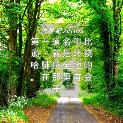 Picture 04 - 创 世 纪 2:11 CUVS - 第 一 道 名 叫 比 逊 ， 就 是 环 绕 - Bible Verse Picture
