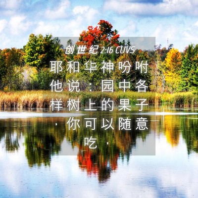 Picture 04 - 创 世 纪 2:16 CUVS - 耶 和 华 神 吩 咐 他 说 ： 园 中 各 - Bible Verse Picture