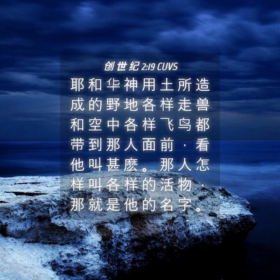 Picture 04 - 创 世 纪 2:19 CUVS - 耶 和 华 神 用 土 所 造 成 的 野 地 - Bible Verse Picture