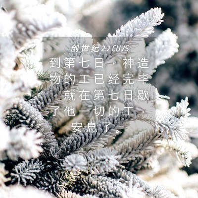 Picture 04 - 创 世 纪 2:2 CUVS - 到 第 七 日 ， 神 造 物 的 工 已 经 - Bible Verse Picture