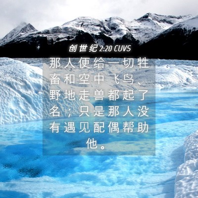 Picture 04 - 创 世 纪 2:20 CUVS - 那 人 便 给 一 切 牲 畜 和 空 中 飞 - Bible Verse Picture