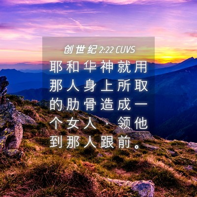 Picture 04 - 创 世 纪 2:22 CUVS - 耶 和 华 神 就 用 那 人 身 上 所 取 - Bible Verse Picture