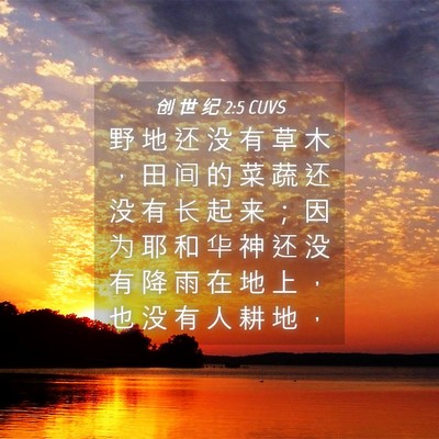 Picture 04 - 创 世 纪 2:5 CUVS - 野 地 还 没 有 草 木 ， 田 间 的 菜 - Bible Verse Picture