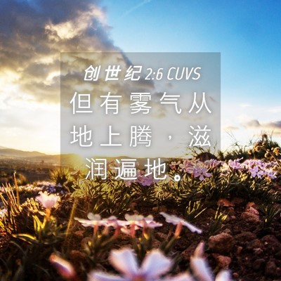 Picture 04 - 创 世 纪 2:6 CUVS - 但 有 雾 气 从 地 上 腾 ， 滋 润 遍 - Bible Verse Picture