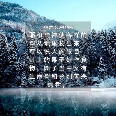 Picture 04 - 创 世 纪 2:9 CUVS - 耶 和 华 神 使 各 样 的 树 从 地 里 - Bible Verse Picture