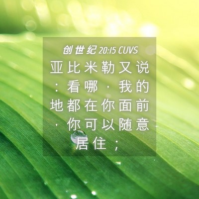 Picture 04 - 创 世 纪 20:15 CUVS - 亚 比 米 勒 又 说 ： 看 哪 ， 我 的 - Bible Verse Picture